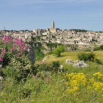 matera